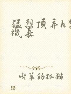 猛烈顶弄h禁欲机长