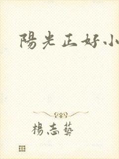 阳光正好小说