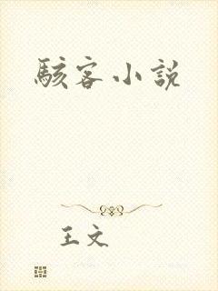 骇客小说