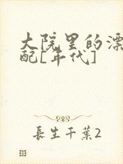 大院里的漂亮原配[年代]