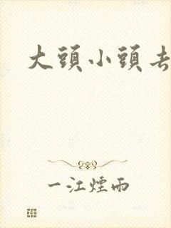 大头小头去旅行封面