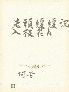 老头缓缓沉腰进入校花h