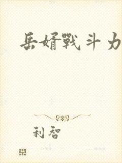 岳婿战斗力