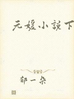 元媛小说下载封面