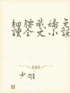 细腰藏娇免费阅读全文小说苏珞浅封面