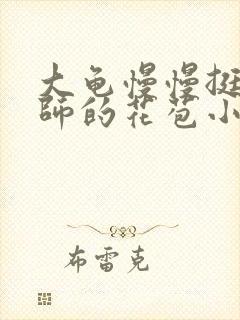 大龟慢慢挺进老师的花苞小说封面