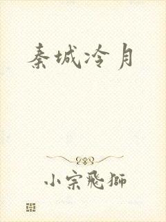 秦城冷月