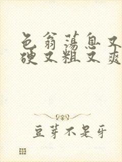 色翁荡息又大又硬又粗又爽电影