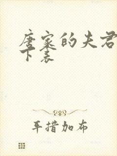 唐家的夫君们帘下衾封面