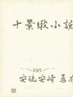 十景缎小说