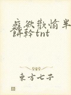 瘾欲欢愉半块小饼干tnt