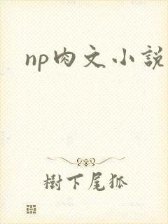 np肉文小说