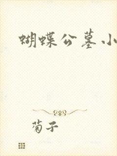 蝴蝶公墓小说