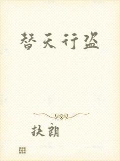 替天行盗