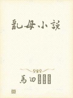 乱母小说