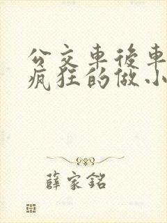 公交车后车座的疯狂的做小