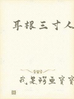 耳根三寸人间