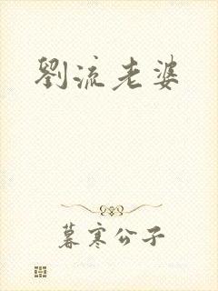 刘流老婆封面