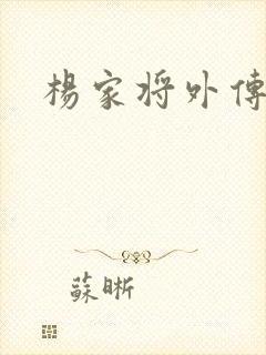 杨家将外传