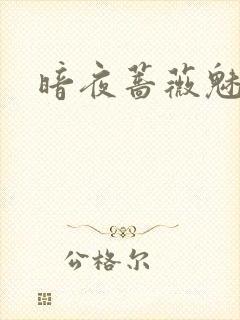 暗夜蔷薇魅