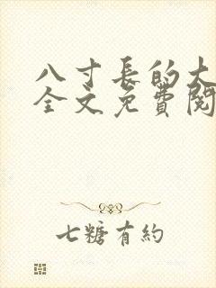 八寸长的大宝贝全文免费阅读封面