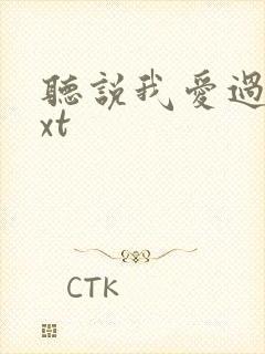 听说我爱过你txt封面