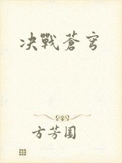 决战苍穹封面