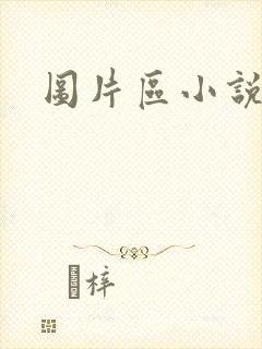 图片区小说区封面