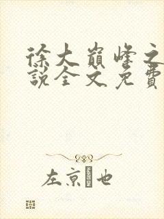 徐大巅峰之路小说全文免费阅读