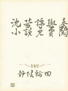 沈若锦与秦琅的小说免费阅读