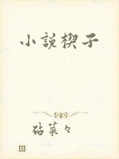 小说楔子