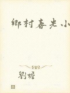 乡村春光小说