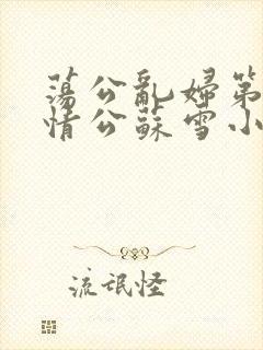 荡公乱妇第1章情公苏雪小说