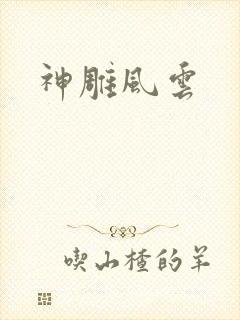 神雕风云