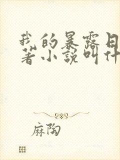 我的暴露日记原著小说叫什么