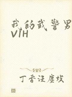 我的武警男友1V1H封面