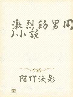 激烈的男同(h)小说