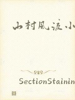 山村风流小说