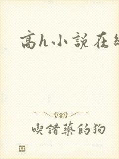 高h小说在线看