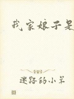 我家娘子是剑神封面
