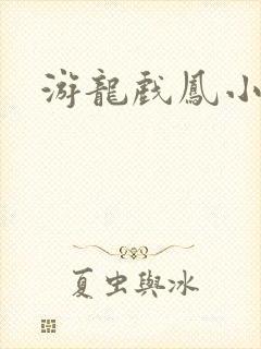 游龙戏凤小说