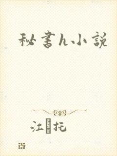 秘书h小说封面