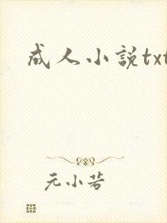 成人小说txt