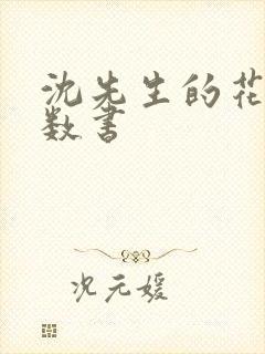沈先生的花式调数书