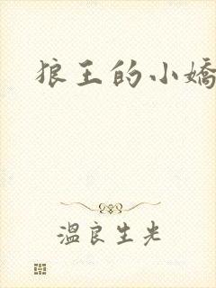 狼王的小娇妻