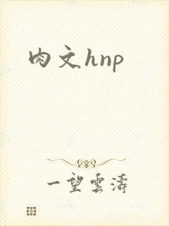 肉文hnp