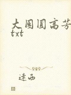 大团圆高芳小说txt