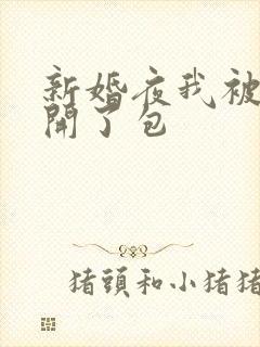 新婚夜我被伴郎开了包封面