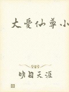 大爱仙尊小说