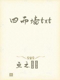 四面墙txt